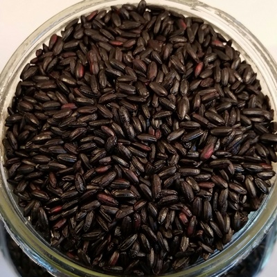 Riz noir ancestral biologique 10kg